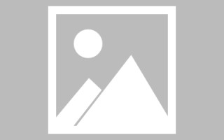 东营网页设计招聘能力要求（网页设计招聘能力要求怎么写）