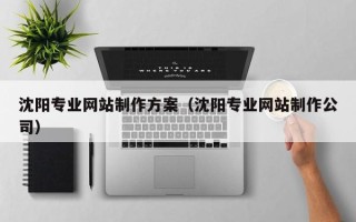 东营沈阳专业网站制作方案（沈阳专业网站制作公司）